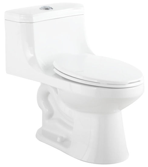 Image sur TOILETTE D TT2000EWLPB BOUTTON
