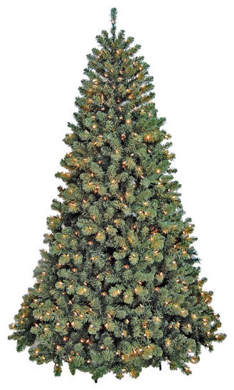 Image sur SAPIN 6 PI ECLAIRE TRANSP NOBL