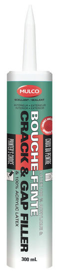 Image sur SILI INT/EXT 300 ML BLC
